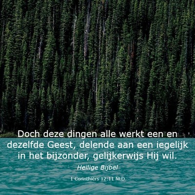 Picture 03 - 1 Corinthiërs 12:11 NLD - Doch deze dingen alle werkt een en dezelfde - Bible Verse Picture