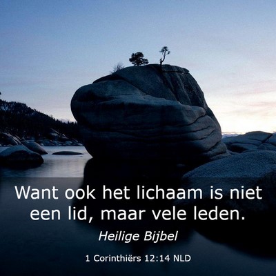 Picture 03 - 1 Corinthiërs 12:14 NLD - Want ook het lichaam is niet een lid, maar vele - Bible Verse Picture