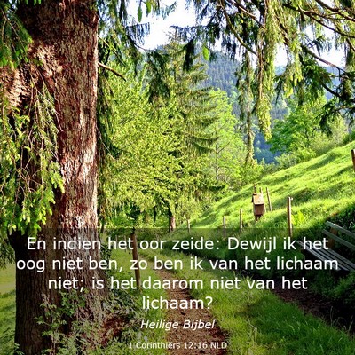 Picture 03 - 1 Corinthiërs 12:16 NLD - En indien het oor zeide: Dewijl ik het oog niet - Bible Verse Picture