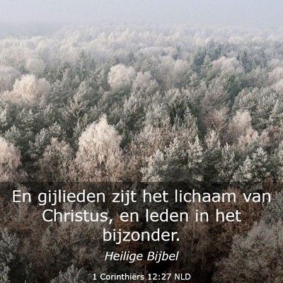 Picture 03 - 1 Corinthiërs 12:27 NLD - En gijlieden zijt het lichaam van Christus, en - Bible Verse Picture