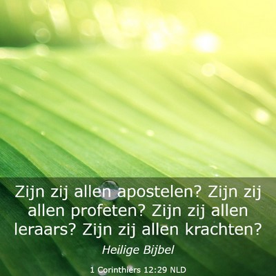 Picture 03 - 1 Corinthiërs 12:29 NLD - Zijn zij allen apostelen? Zijn zij allen - Bible Verse Picture