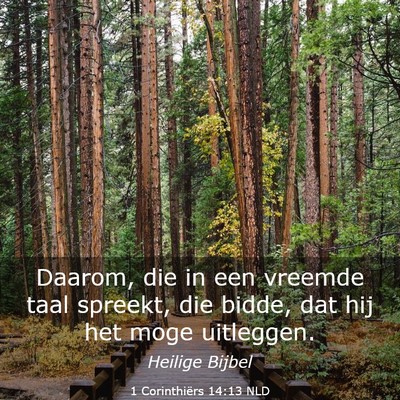 Picture 03 - 1 Corinthiërs 14:13 NLD - Daarom, die in een vreemde taal spreekt, die - Bible Verse Picture