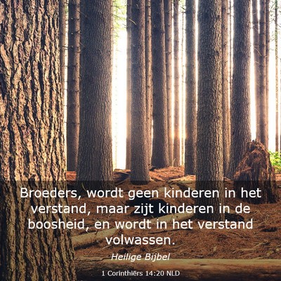 Picture 03 - 1 Corinthiërs 14:20 NLD - Broeders, wordt geen kinderen in het verstand, - Bible Verse Picture