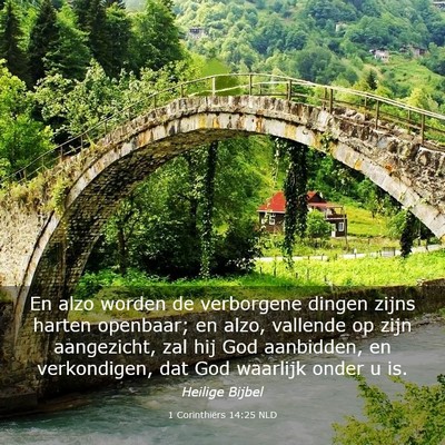 Picture 03 - 1 Corinthiërs 14:25 NLD - En alzo worden de verborgene dingen zijns harten - Bible Verse Picture