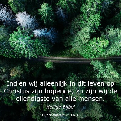 Picture 03 - 1 Corinthiërs 15:19 NLD - Indien wij alleenlijk in dit leven op Christus - Bible Verse Picture