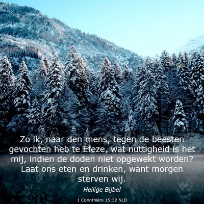 Picture 03 - 1 Corinthiërs 15:32 NLD - Zo ik, naar den mens, tegen de beesten gevochten - Bible Verse Picture