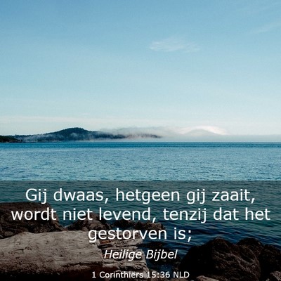 Picture 03 - 1 Corinthiërs 15:36 NLD - Gij dwaas, hetgeen gij zaait, wordt niet levend, - Bible Verse Picture
