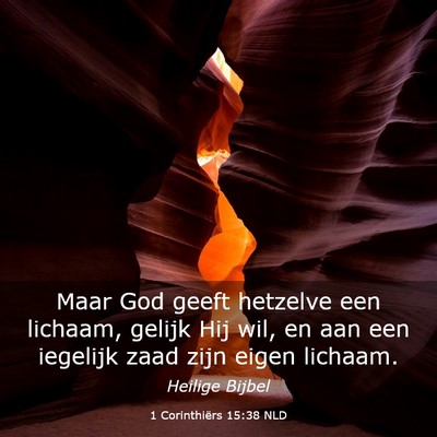 Picture 03 - 1 Corinthiërs 15:38 NLD - Maar God geeft hetzelve een lichaam, gelijk Hij - Bible Verse Picture