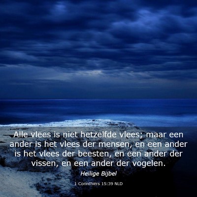 Picture 03 - 1 Corinthiërs 15:39 NLD - Alle vlees is niet hetzelfde vlees; maar een - Bible Verse Picture