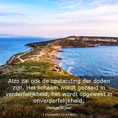 Picture 03 - 1 Corinthiërs 15:42 NLD - Alzo zal ook de opstanding der doden zijn. Het - Bible Verse Picture