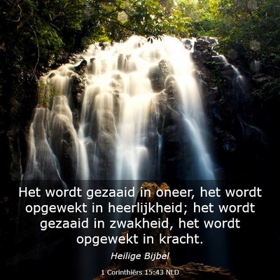 Picture 03 - 1 Corinthiërs 15:43 NLD - Het wordt gezaaid in oneer, het wordt opgewekt in - Bible Verse Picture