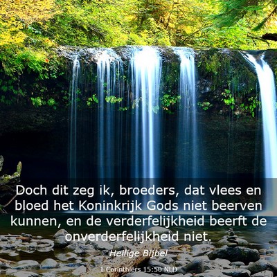 Picture 03 - 1 Corinthiërs 15:50 NLD - Doch dit zeg ik, broeders, dat vlees en bloed het - Bible Verse Picture