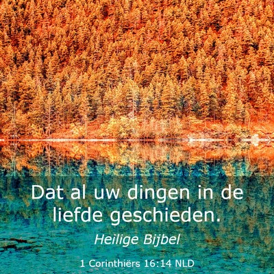 Picture 03 - 1 Corinthiërs 16:14 NLD - Dat al uw dingen in de liefde - Bible Verse Picture