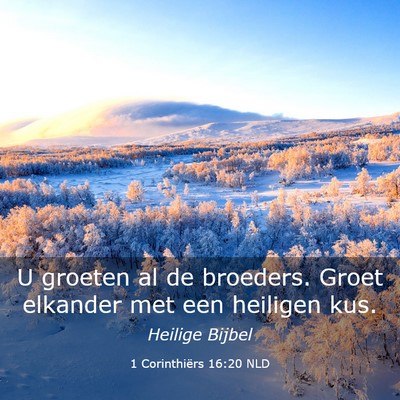 Picture 03 - 1 Corinthiërs 16:20 NLD - U groeten al de broeders. Groet elkander met een - Bible Verse Picture