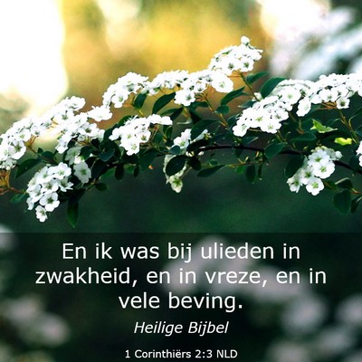 Picture 03 - 1 Corinthiërs 2:3 NLD - En ik was bij ulieden in zwakheid, en in vreze, - Bible Verse Picture