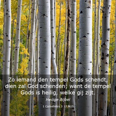 Picture 03 - 1 Corinthiërs 3:17 NLD - Zo iemand den tempel Gods schendt, dien zal God - Bible Verse Picture