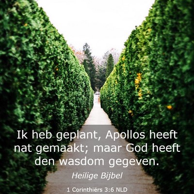 Picture 03 - 1 Corinthiërs 3:6 NLD - Ik heb geplant, Apollos heeft nat gemaakt; maar - Bible Verse Picture
