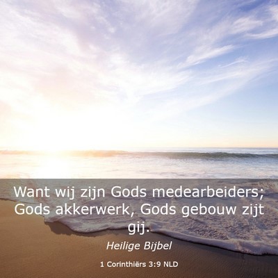 Picture 03 - 1 Corinthiërs 3:9 NLD - Want wij zijn Gods medearbeiders; Gods akkerwerk, - Bible Verse Picture