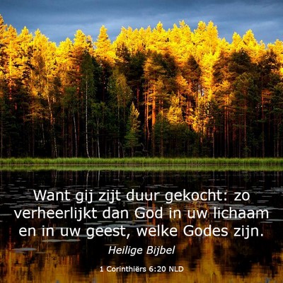 Picture 03 - 1 Corinthiërs 6:20 NLD - Want gij zijt duur gekocht: zo verheerlijkt dan - Bible Verse Picture