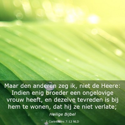 Picture 03 - 1 Corinthiërs 7:12 NLD - Maar den anderen zeg ik, niet de Heere: Indien - Bible Verse Picture