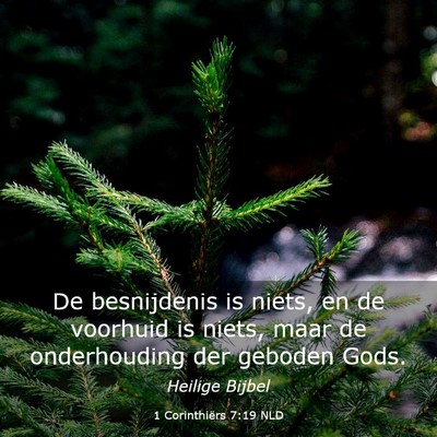Picture 03 - 1 Corinthiërs 7:19 NLD - De besnijdenis is niets, en de voorhuid is niets, - Bible Verse Picture