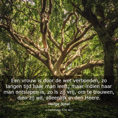 Picture 03 - 1 Corinthiërs 7:39 NLD - Een vrouw is door de wet verbonden, zo langen - Bible Verse Picture