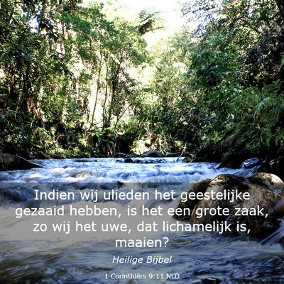 Picture 03 - 1 Corinthiërs 9:11 NLD - Indien wij ulieden het geestelijke gezaaid - Bible Verse Picture