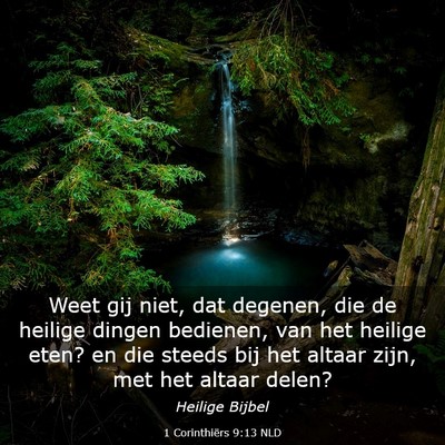 Picture 03 - 1 Corinthiërs 9:13 NLD - Weet gij niet, dat degenen, die de heilige dingen - Bible Verse Picture