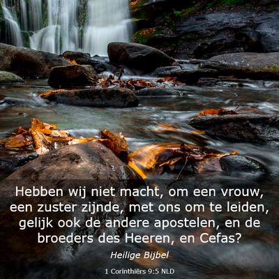 Picture 03 - 1 Corinthiërs 9:5 NLD - Hebben wij niet macht, om een vrouw, een zuster - Bible Verse Picture