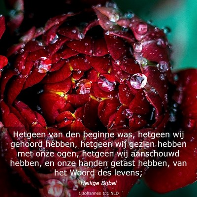 Picture 03 - 1 Johannes 1:1 NLD - Hetgeen van den beginne was, hetgeen wij gehoord - Bible Verse Picture