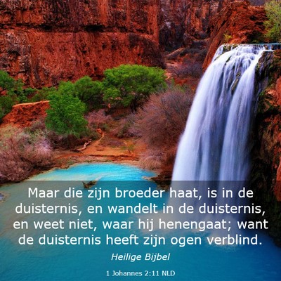 Picture 03 - 1 Johannes 2:11 NLD - Maar die zijn broeder haat, is in de duisternis, - Bible Verse Picture