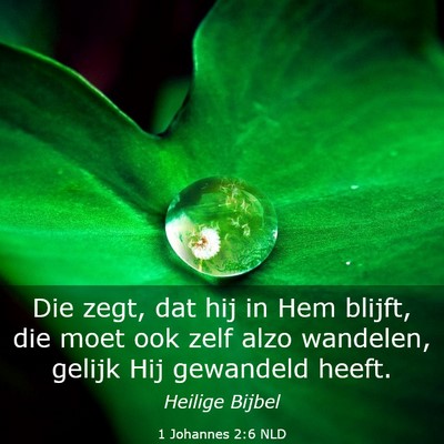 Picture 03 - 1 Johannes 2:6 NLD - Die zegt, dat hij in Hem blijft, die moet ook - Bible Verse Picture