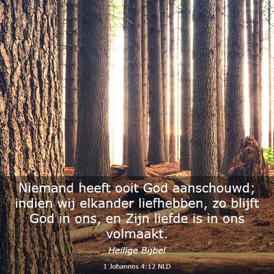 Picture 03 - 1 Johannes 4:12 NLD - Niemand heeft ooit God aanschouwd; indien wij - Bible Verse Picture