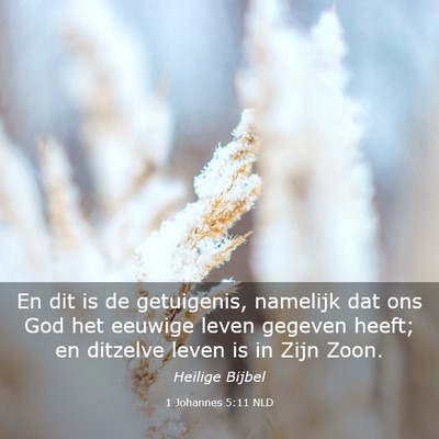 Picture 03 - 1 Johannes 5:11 NLD - En dit is de getuigenis, namelijk dat ons God het - Bible Verse Picture