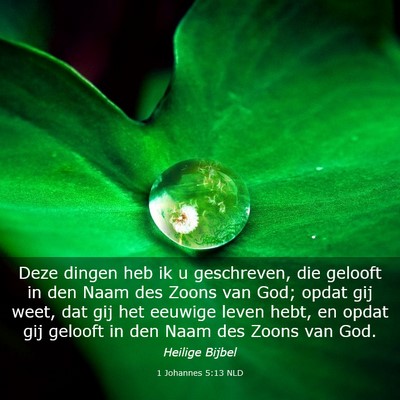 Picture 03 - 1 Johannes 5:13 NLD - Deze dingen heb ik u geschreven, die gelooft in - Bible Verse Picture