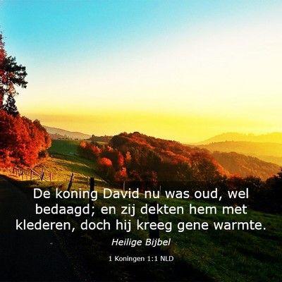 Picture 03 - 1 Koningen 1:1 NLD - De koning David nu was oud, wel bedaagd; en zij - Bible Verse Picture