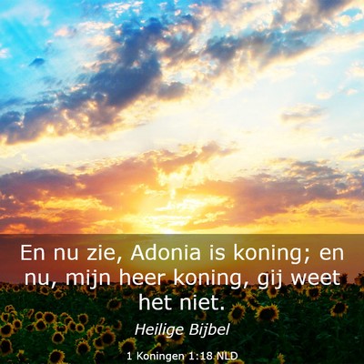Picture 03 - 1 Koningen 1:18 NLD - En nu zie, Adonia is koning; en nu, mijn heer - Bible Verse Picture