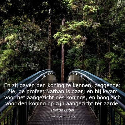 Picture 03 - 1 Koningen 1:23 NLD - En zij gaven den koning te kennen, zeggende: Zie, - Bible Verse Picture