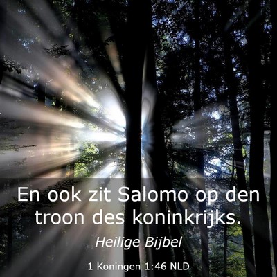 Picture 03 - 1 Koningen 1:46 NLD - En ook zit Salomo op den troon des - Bible Verse Picture