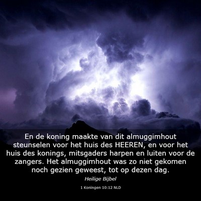 Picture 03 - 1 Koningen 10:12 NLD - En de koning maakte van dit almuggimhout - Bible Verse Picture