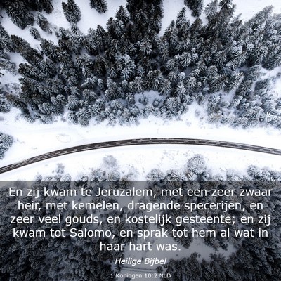 Picture 03 - 1 Koningen 10:2 NLD - En zij kwam te Jeruzalem, met een zeer zwaar - Bible Verse Picture