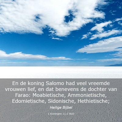 Picture 03 - 1 Koningen 11:1 NLD - En de koning Salomo had veel vreemde vrouwen - Bible Verse Picture