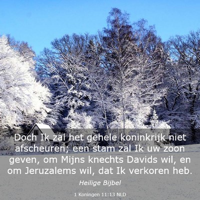 Picture 03 - 1 Koningen 11:13 NLD - Doch Ik zal het gehele koninkrijk niet - Bible Verse Picture