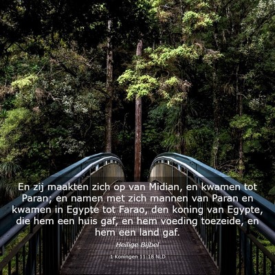 Picture 03 - 1 Koningen 11:18 NLD - En zij maakten zich op van Midian, en kwamen tot - Bible Verse Picture