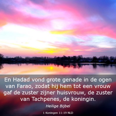 Picture 03 - 1 Koningen 11:19 NLD - En Hadad vond grote genade in de ogen van Farao, - Bible Verse Picture