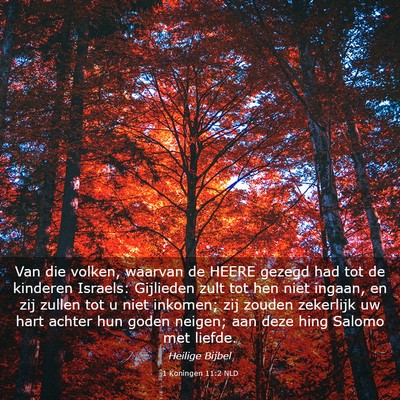 Picture 03 - 1 Koningen 11:2 NLD - Van die volken, waarvan de HEERE gezegd had tot - Bible Verse Picture
