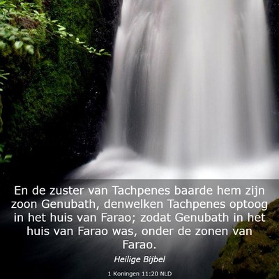 Picture 03 - 1 Koningen 11:20 NLD - En de zuster van Tachpenes baarde hem zijn zoon - Bible Verse Picture