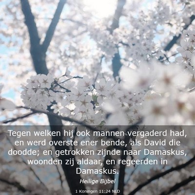 Picture 03 - 1 Koningen 11:24 NLD - Tegen welken hij ook mannen vergaderd had, en - Bible Verse Picture