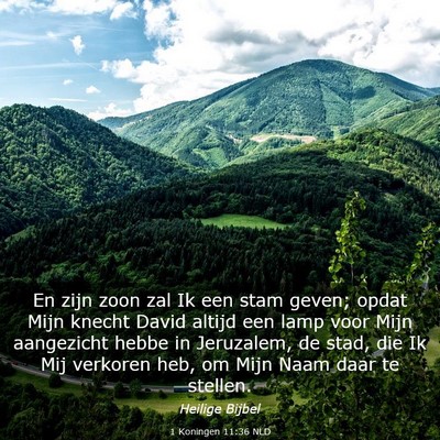 Picture 03 - 1 Koningen 11:36 NLD - En zijn zoon zal Ik een stam geven; opdat Mijn - Bible Verse Picture