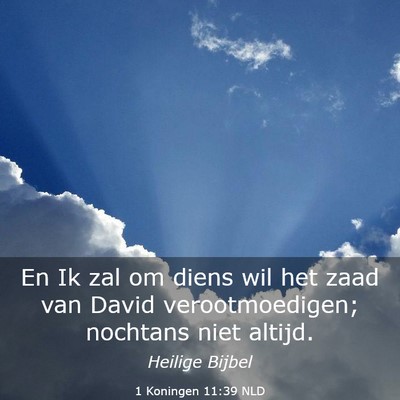 Picture 03 - 1 Koningen 11:39 NLD - En Ik zal om diens wil het zaad van David - Bible Verse Picture